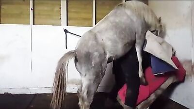 Grannys Naughty Surprise with Hung Stallion