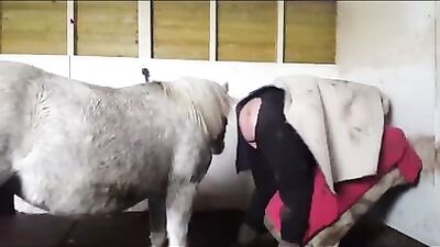 Grannys Naughty Surprise with Hung Stallion