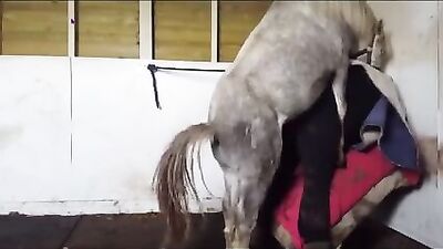 Grannys Naughty Surprise with Hung Stallion