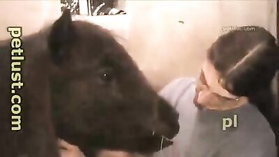 Horse Hunk Sucks Giant Cock