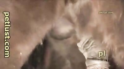 Horse Hunk Sucks Giant Cock