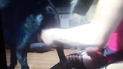 Travesti zoófilo sexy follándose a un perro pervertido
