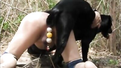 Dog + ball