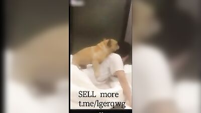 Chinese girlfriend play with his boyfriends dog