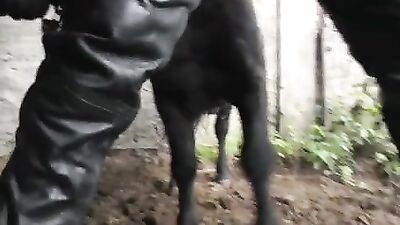 This pony is going to cum inside her in close-up