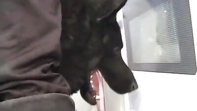 BBW blows and gets her tight hole opened