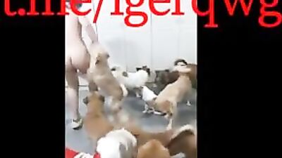 Chinese girl fuck with many dogs