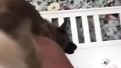 Aroused female shows off in a black lingerie trying dog porno