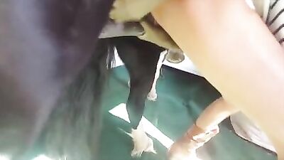 Skinny girl lets huge cock horse fuck her silly