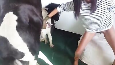Skinny girl lets huge cock horse fuck her silly