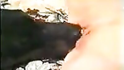 black dog working on woman enjoys milfs tight pussy