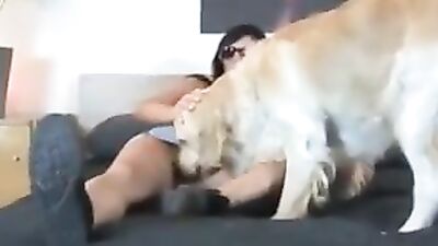 Smooth porn for a tight brunette in bed with her furry dog