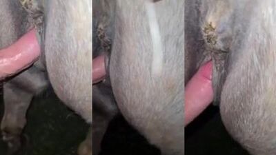 Deep Sloppy Mare pussy