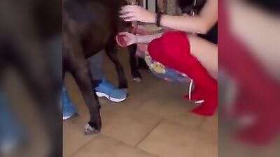 La cagna parte 2
