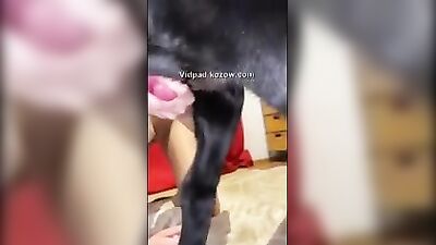Zoo hot sex video