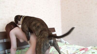 Rocco Ravages Innocent Russian Teen Tanya in Wild Doggy Style