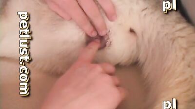 Horny Husky Humps Hot Babe