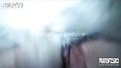 Best Pussy Pounding And Moan