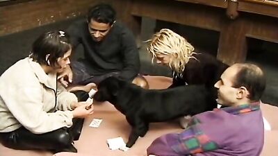 Wild Zoo Animals Gangbanging Pretty Lisa