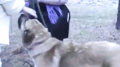 Sultry Euro Babes Seduce Rugged Hounds in Steamy Woodland Threesome