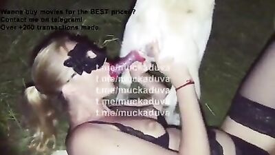 THE BEST Blowjob Compilation