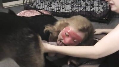Hot Master Caught Masturbating Wild Dog