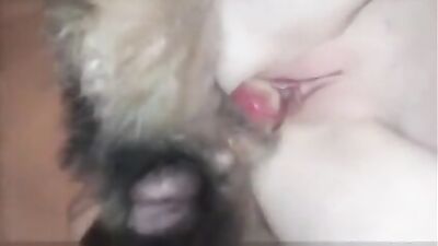 Rough Pup Pounder Sucks Cock Raw