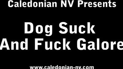 Furry Milf Gangbanged by Raging Hounds in Lewd Animal Fantasy