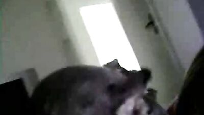 Slutty Ex Sucks Dogs Dick