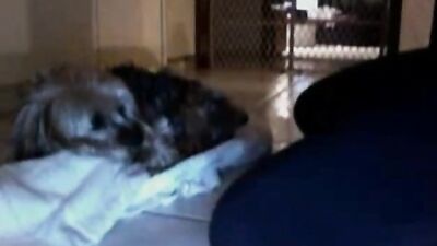 Lick It Raw: Maria Sekalskas Shocking Doggy Blow Job