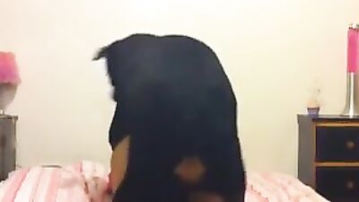 Hot unmasked brunette getting fucked on all fours by a dog