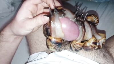Girls First Snail Slobber Facial