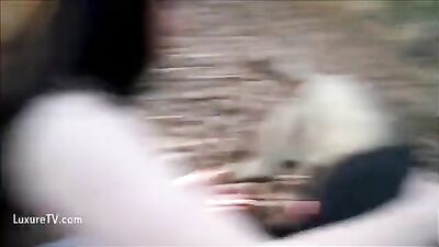 Raunchy Forest Romp - Busty Babe Seduces Curious Canine Companion