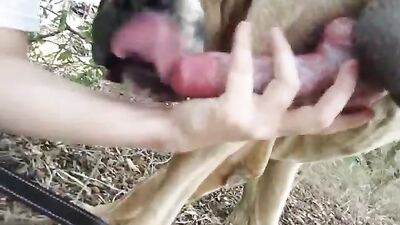 Filthy Animal Whore Gets Unleashed On Thick Uncut Cock