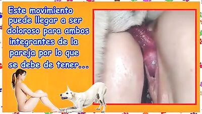 Puppy Playtime Gone Wrong - Dog Licks Calf Girls Throat