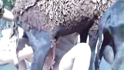 Hot Latin Cumdump Takes Horny Goats Big Cock