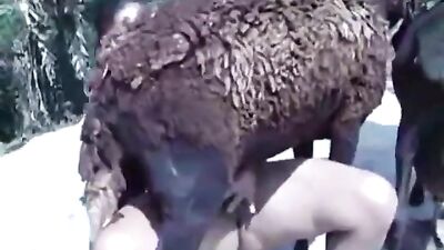 Hot Latin Cumdump Takes Horny Goats Big Cock