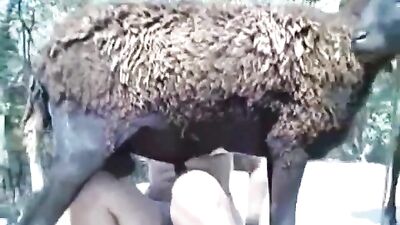 Hot Latin Cumdump Takes Horny Goats Big Cock