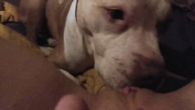 Bulldog Devours Blondes Bubble Butt, Unloads Face-Filling Cum