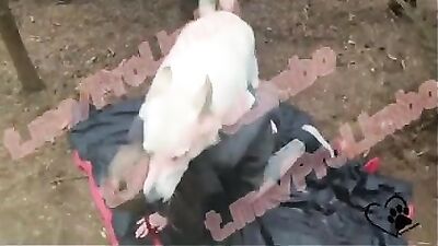 NEW VIDS ZOO 03