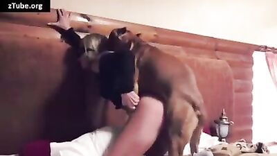 Dog sex tube scene with a hot blonde