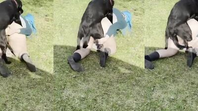 Sexo en el jardin de casa