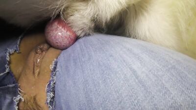 Wifes Secret Puppy Playtime Leads to Devouring Deepthroat