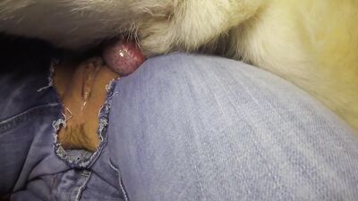 Wifes Secret Puppy Playtime Leads to Devouring Deepthroat