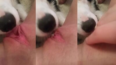 Pet Pooch Pisses & Pleases Teen Princesss Puss