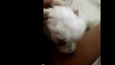 Brazilian Teen Seduces Hungry Hound for Pussy Licking