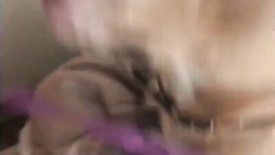 Jasmine Spencers Dirty Doggy Secret