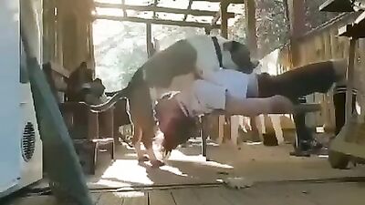 Pups Hung Hostess Gags On Dick