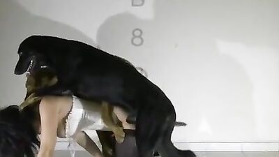 Beauty fucked by 2 Dogs