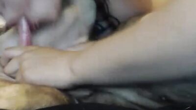 Horny Horse Fucks Cute Piglets Face in Animal Sex!